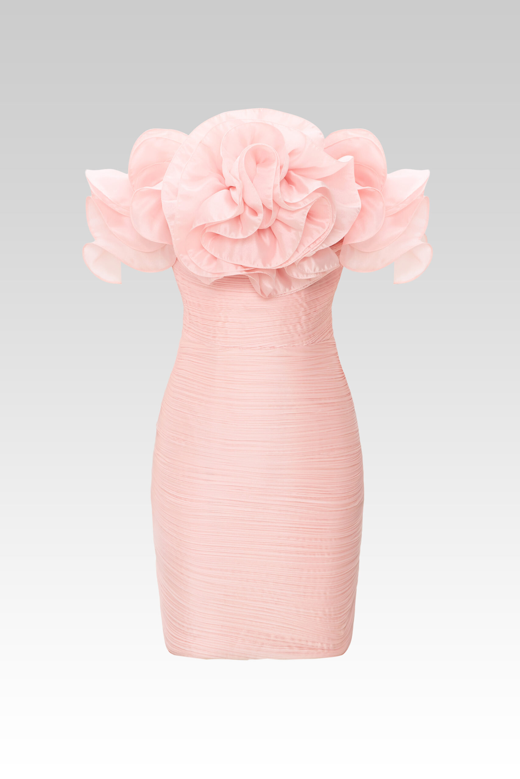 Acapella Rose Dress