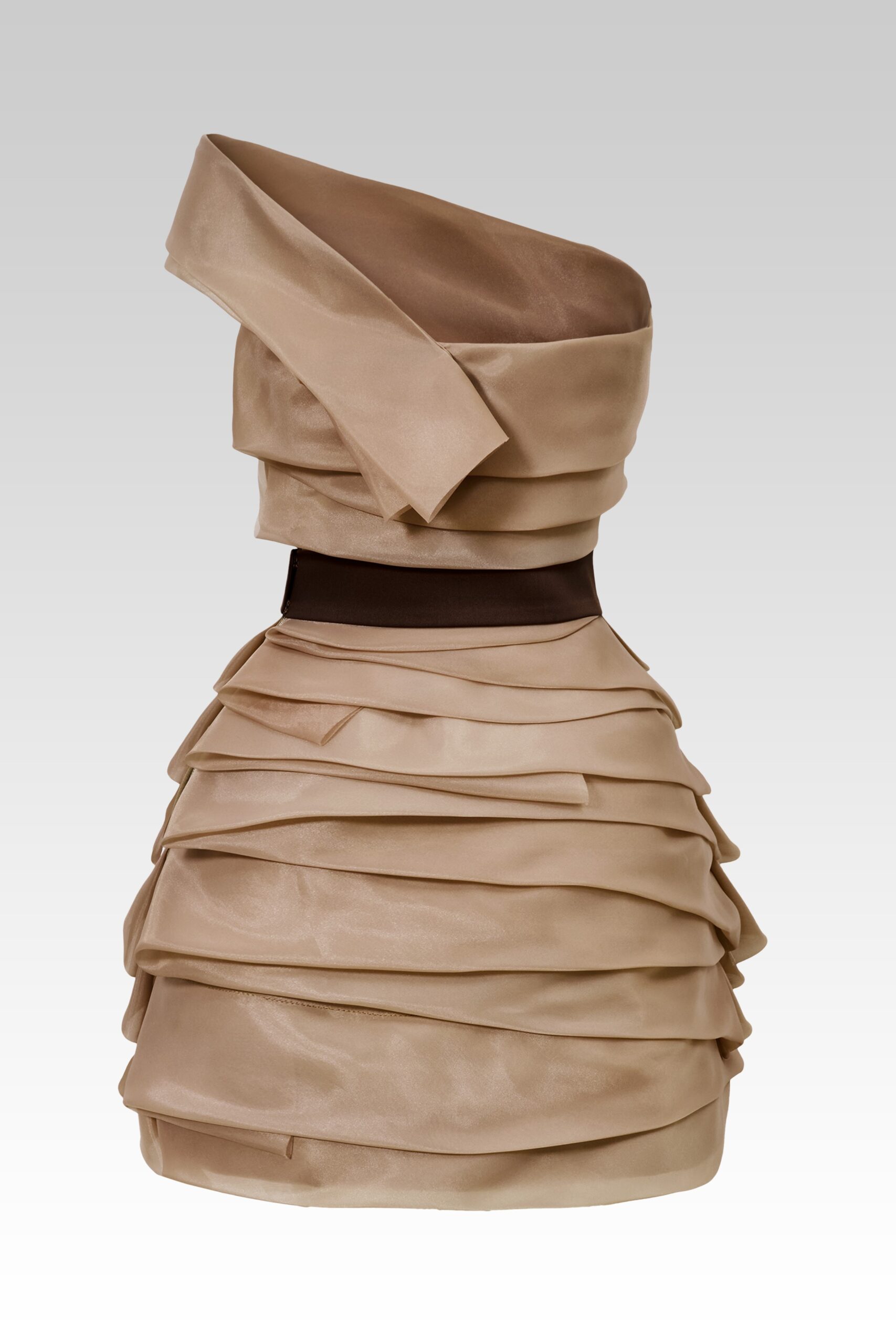 One Shoulder Organza Dress