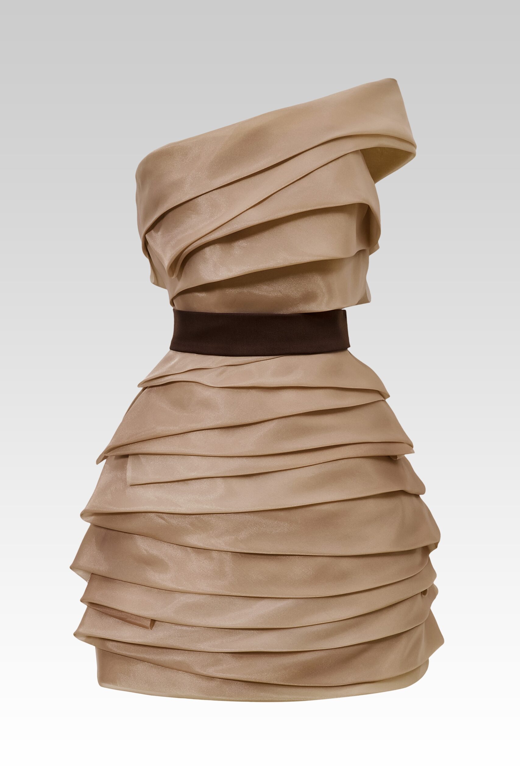 One Shoulder Organza Dress