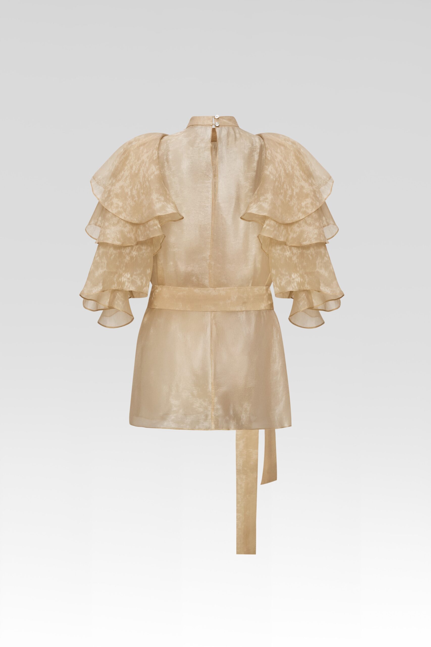 Shella Organza Top